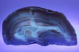 Colorful, Polished Patagonia Agate - Highly Fluorescent! #214919-3
